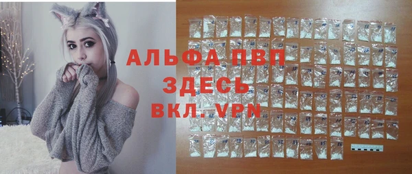 эйфоретик Арсеньев