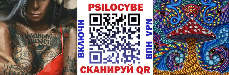 Псилоцибиновые грибы Psilocybe Бабушкин